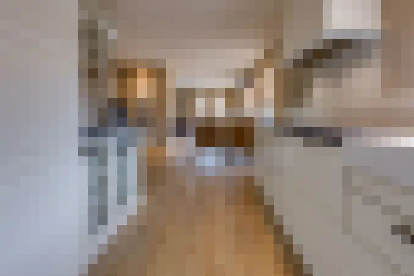 Beumeesweg 65 Alteveer thumbnail 17