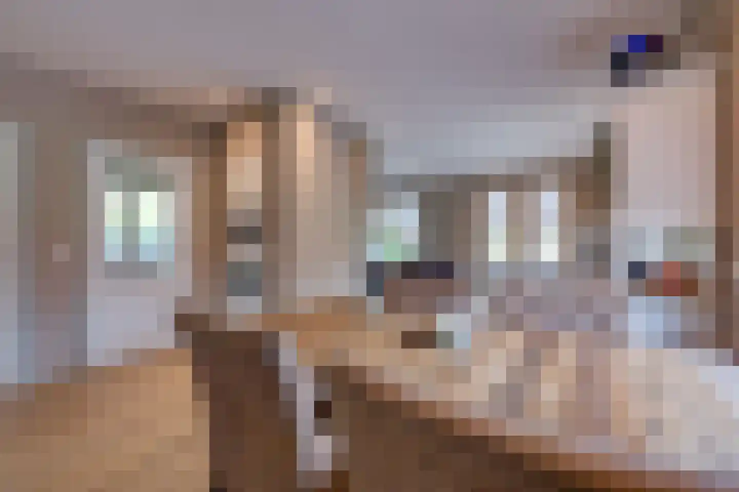 Beumeesweg 65 Alteveer thumbnail 19