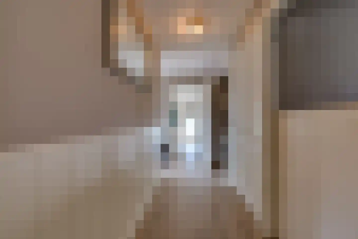 Beumeesweg 65 Alteveer thumbnail 20