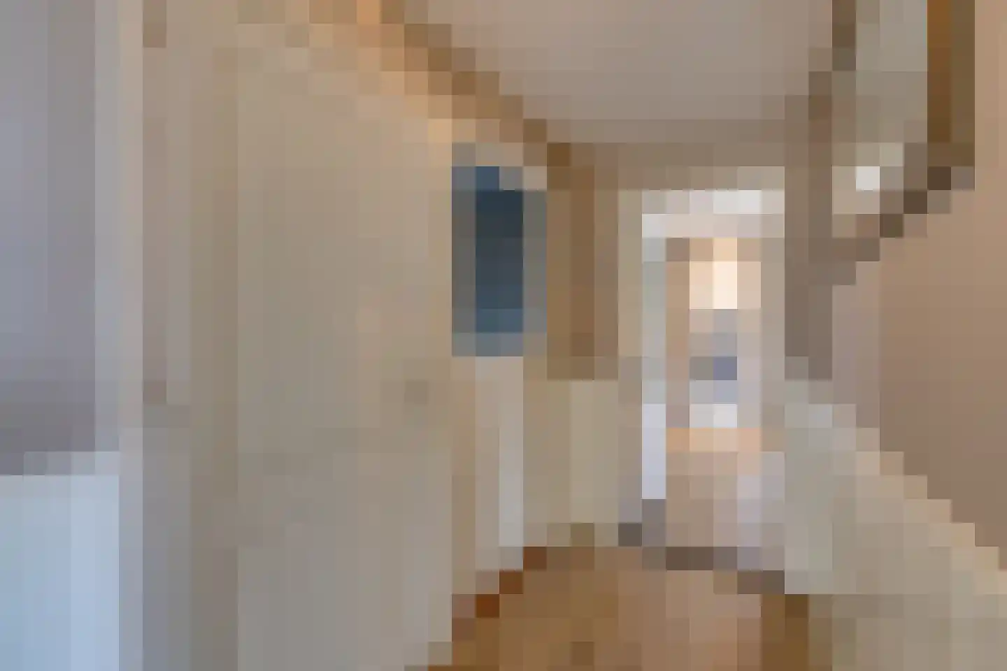 Beumeesweg 65 Alteveer thumbnail 21