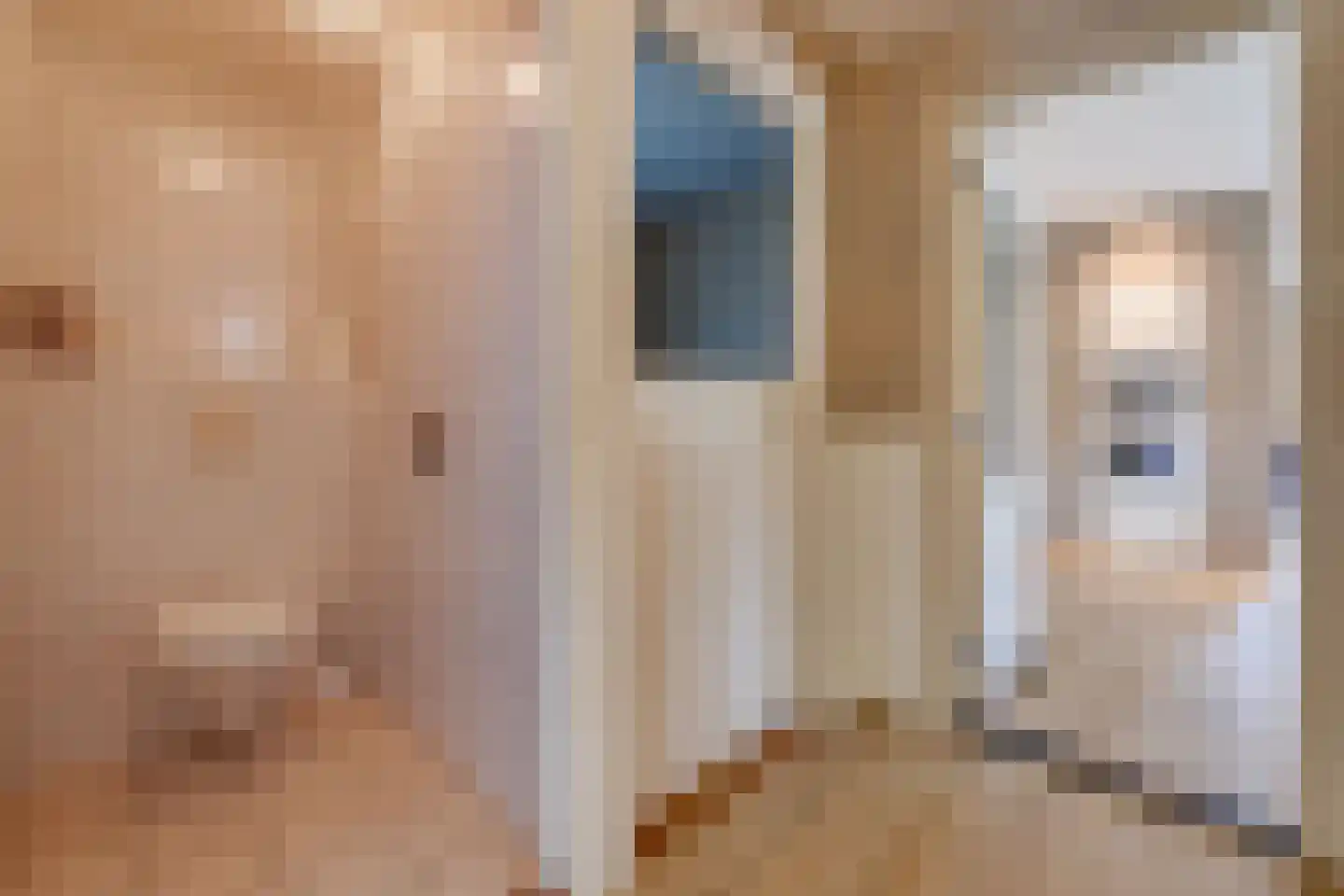 Beumeesweg 65 Alteveer thumbnail 24