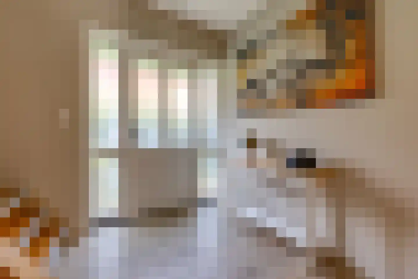 Beumeesweg 65 Alteveer thumbnail 25