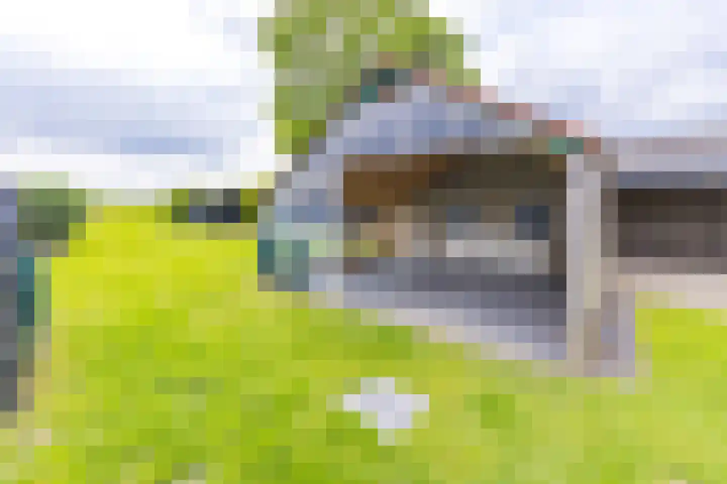 Beumeesweg 65 Alteveer thumbnail 41
