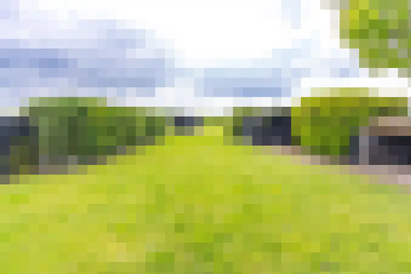Beumeesweg 65 Alteveer thumbnail 44