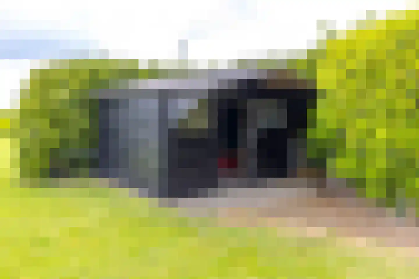 Beumeesweg 65 Alteveer thumbnail 45