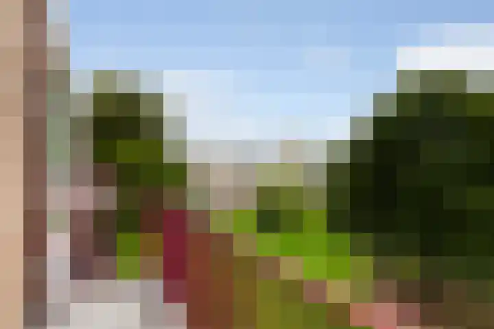 Beumershoek 46 Rotterdam thumbnail 14