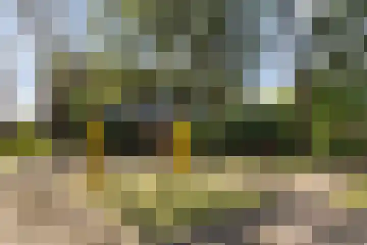 Beumershoek 46 Rotterdam thumbnail 17