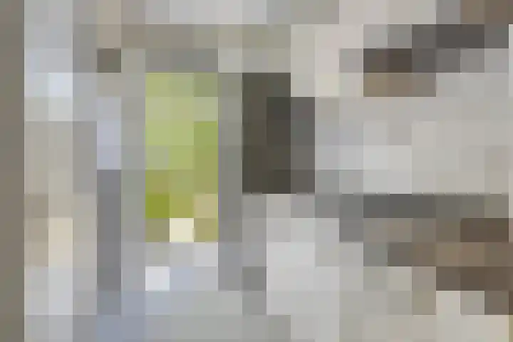Beumershoek 6 Rotterdam thumbnail 10