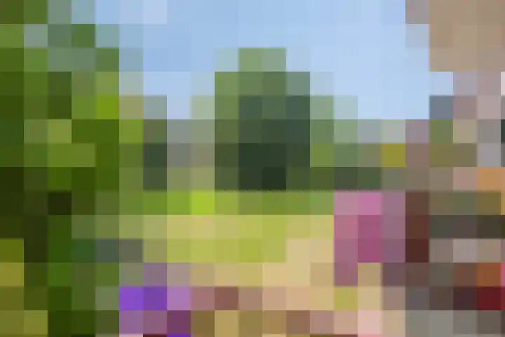 Beumershoek 6 Rotterdam thumbnail 13