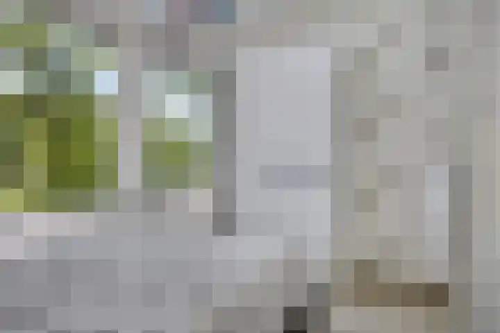 Beumershoek 6 Rotterdam thumbnail 17