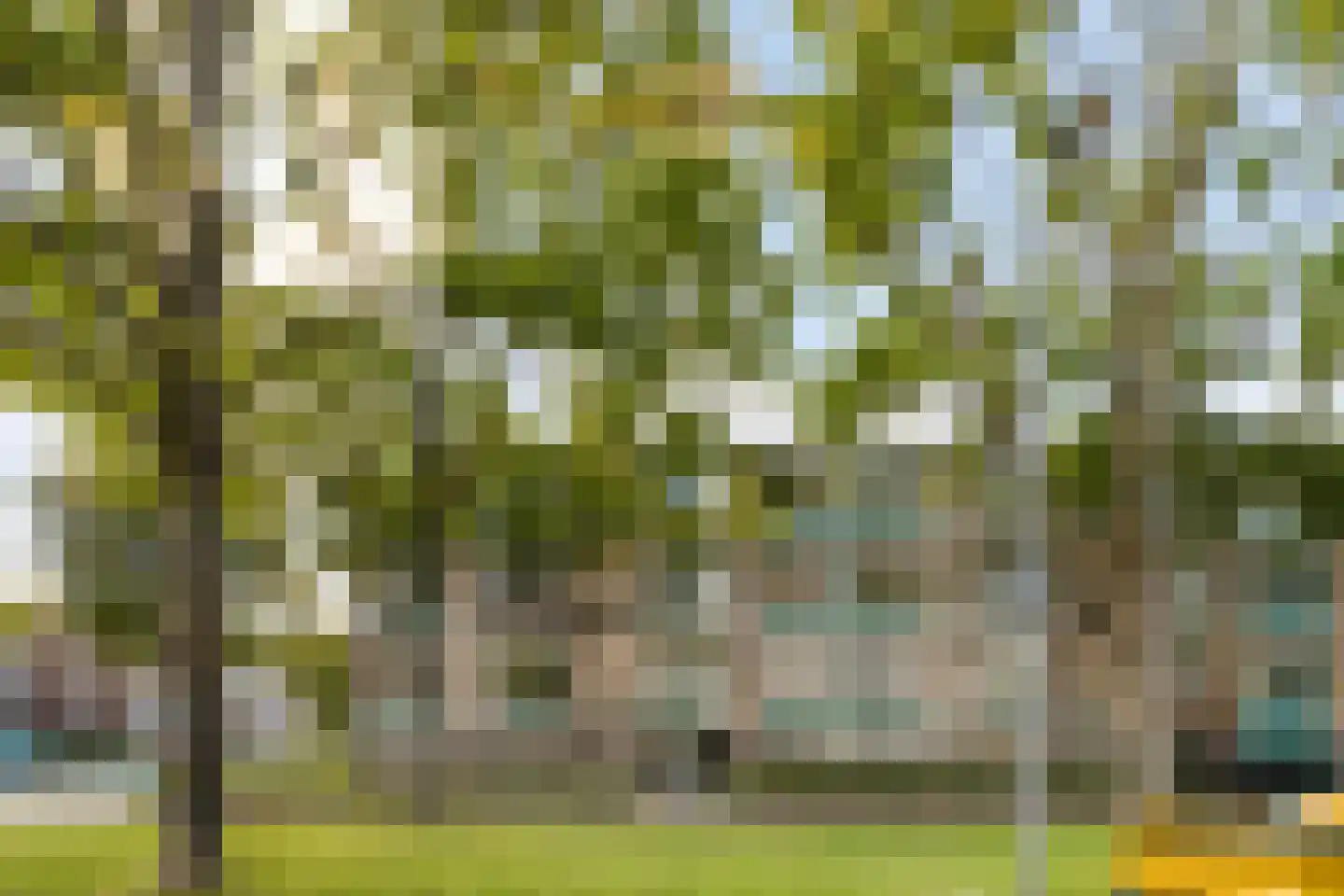 Beumershoek 64 Rotterdam thumbnail 18