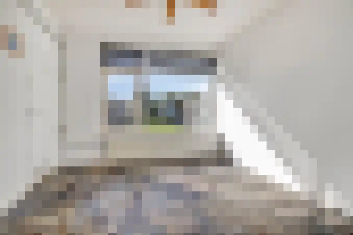 Beumershoek 64 Rotterdam thumbnail 5