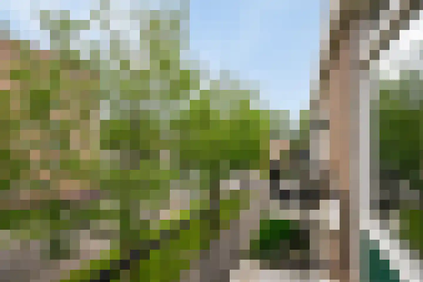 Beumershoek 90 Rotterdam thumbnail 11