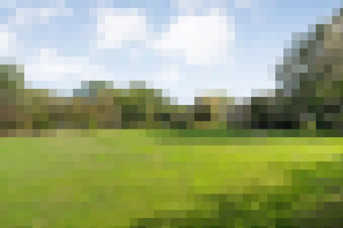 Beumersteeg 8 Holten thumbnail 101