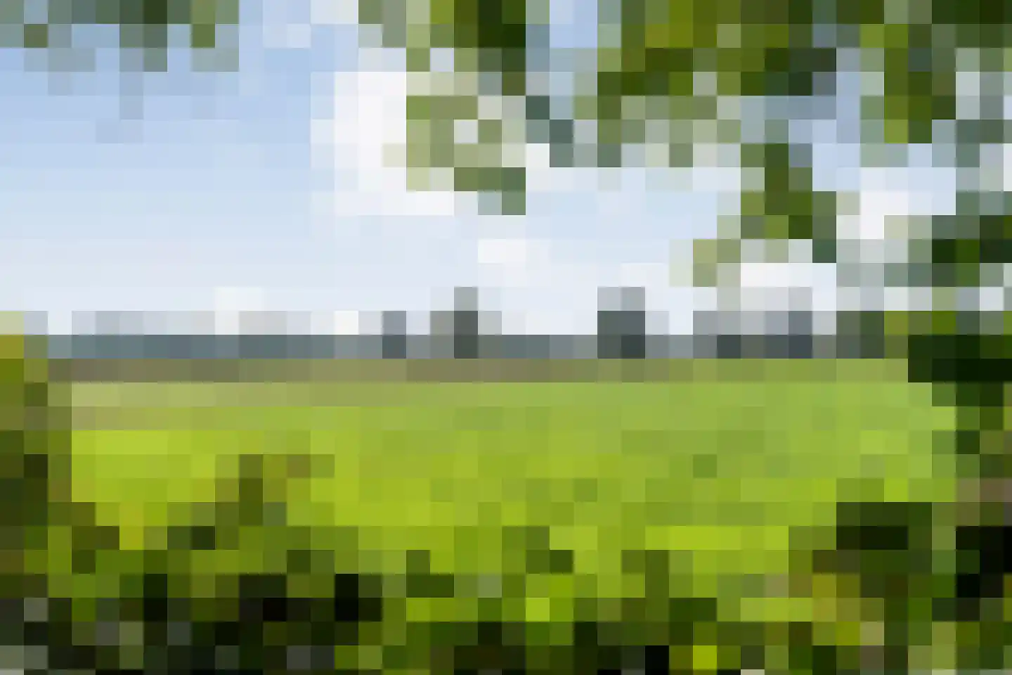 Beumersteeg 8 Holten thumbnail 110