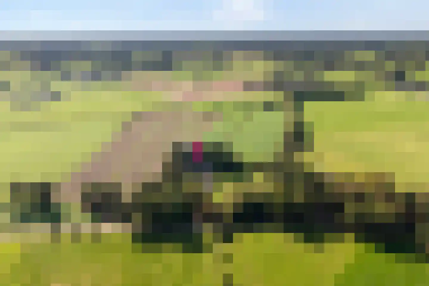 Beumersteeg 8 Holten thumbnail 111