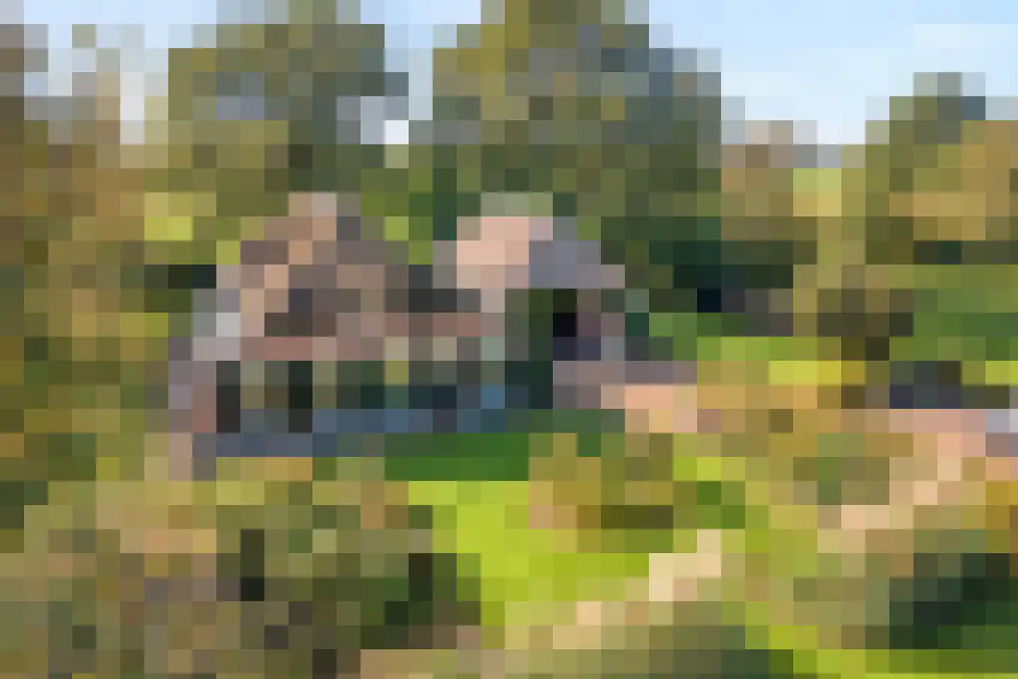Beumersteeg 8 Holten thumbnail 12