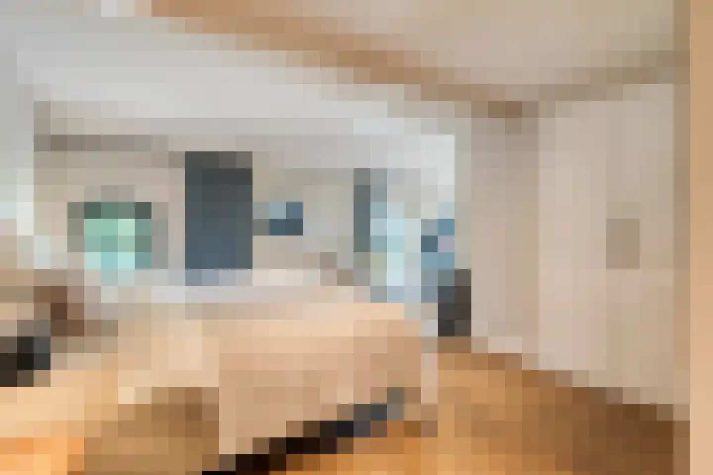 Beumersteeg 8 Holten thumbnail 32