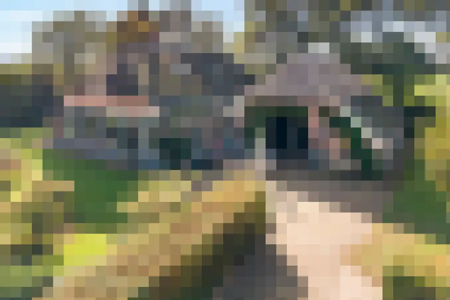 Beumersteeg 8 Holten thumbnail 5
