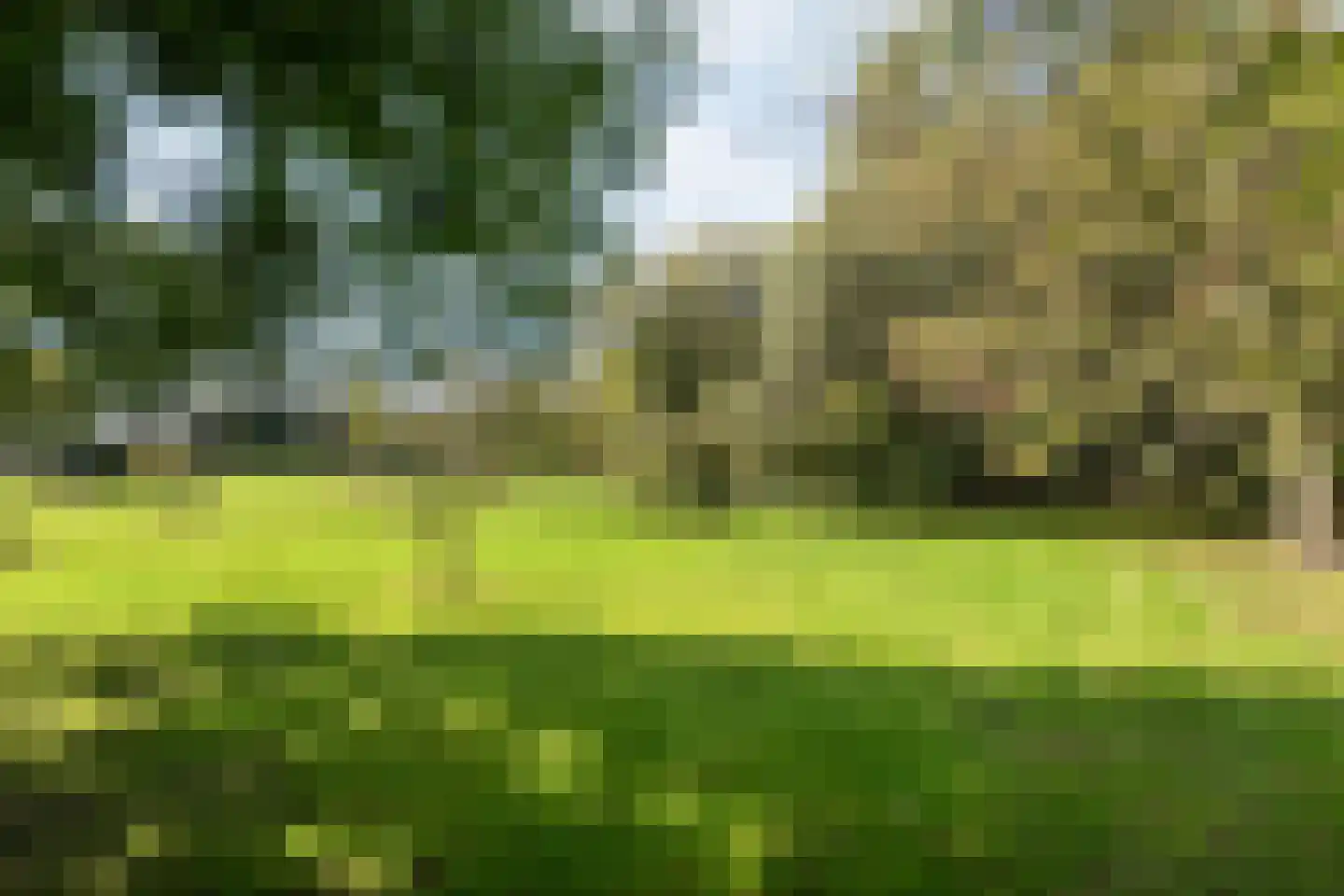 Beumersteeg 8 Holten thumbnail 60