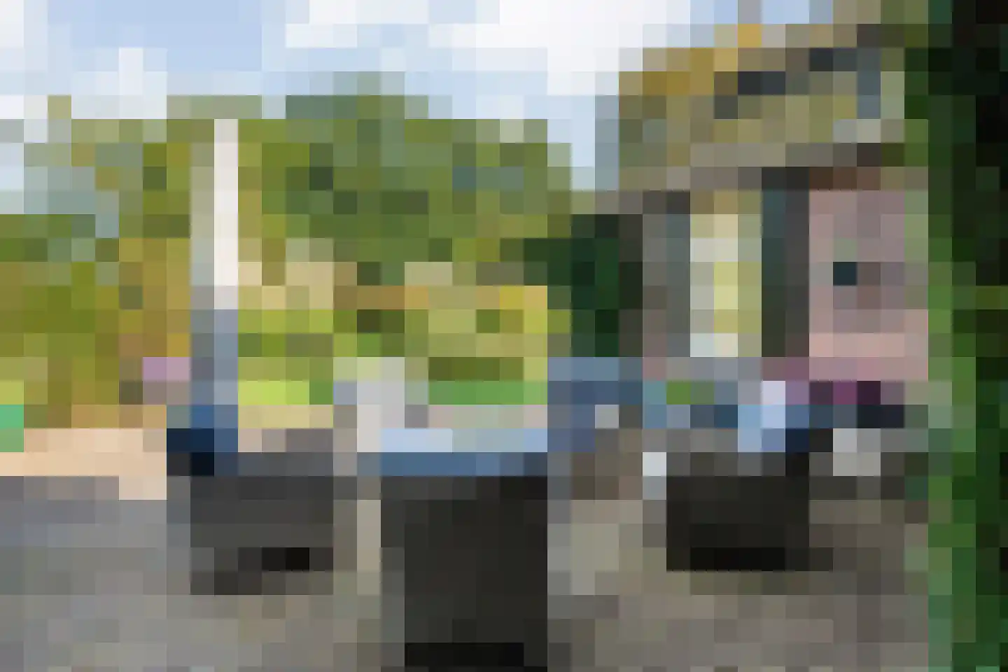 Beumersteeg 8 Holten thumbnail 67