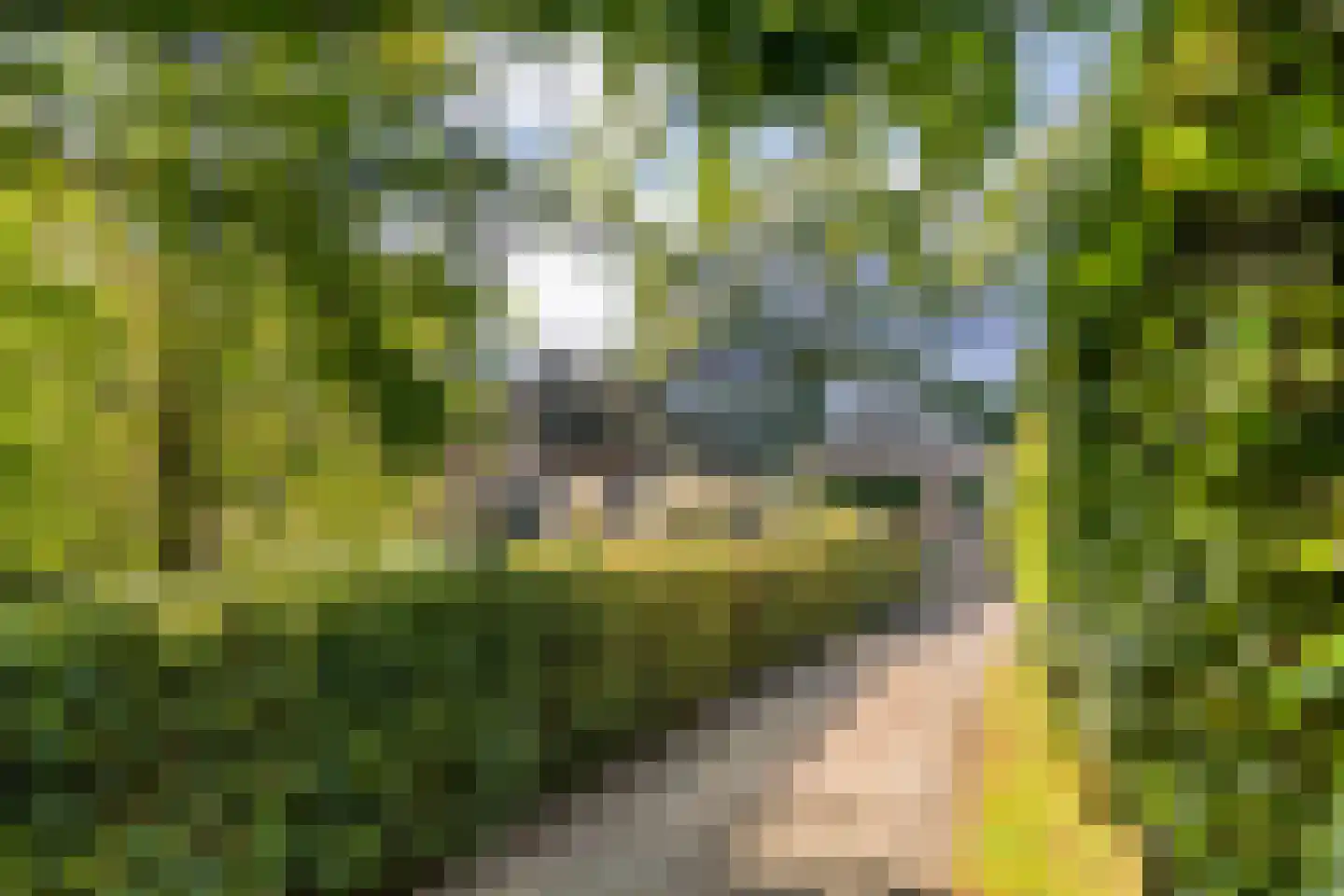 Beumersteeg 8 Holten thumbnail 7