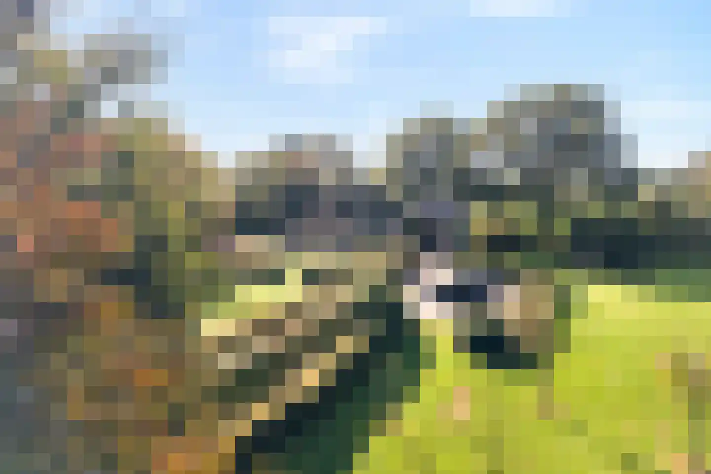 Beumersteeg 8 Holten thumbnail 8