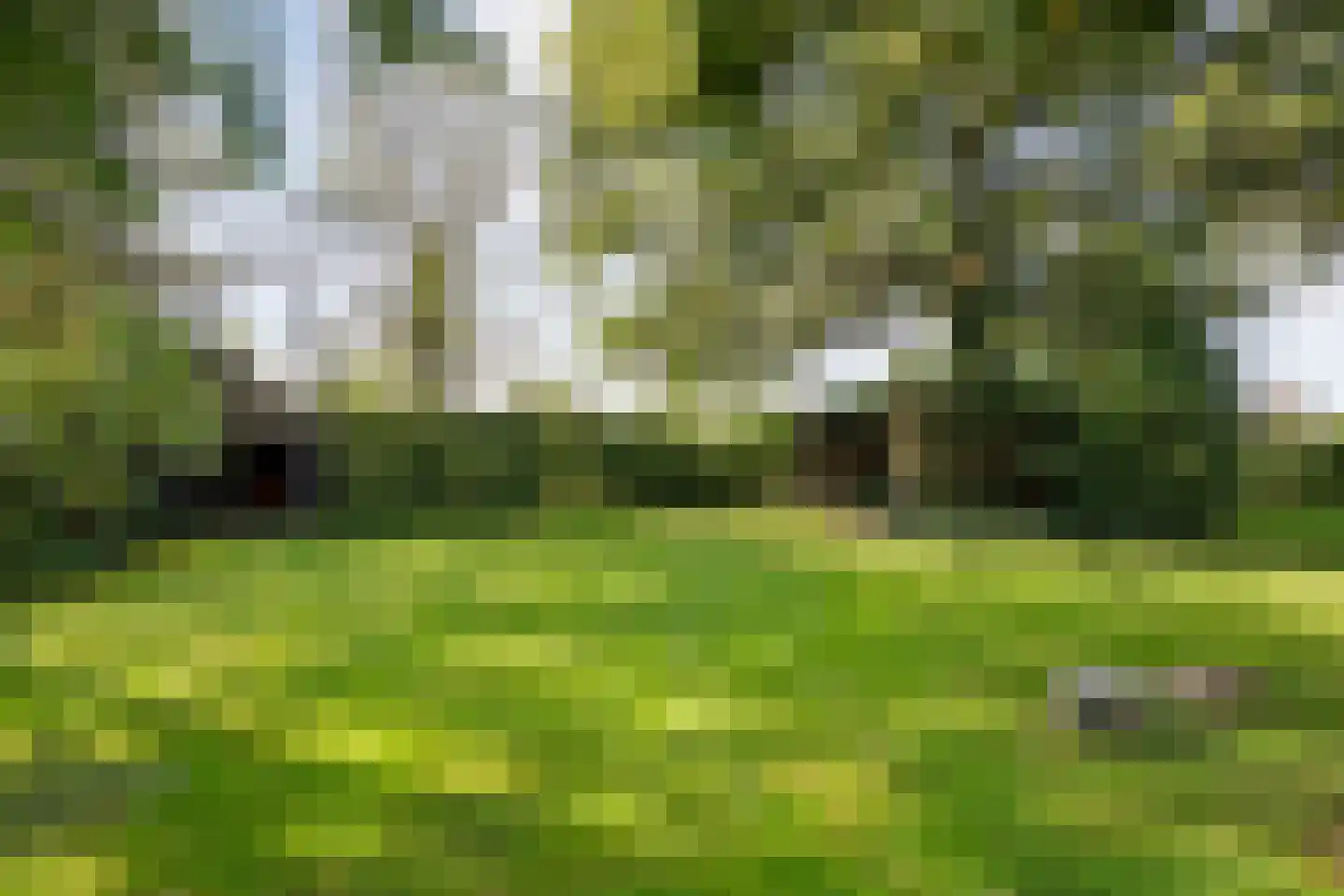 Beumersteeg 8 Holten thumbnail 93