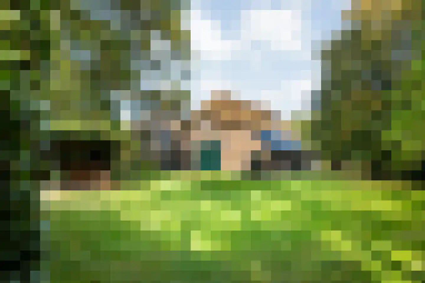 Beumersteeg 8 Holten thumbnail 94