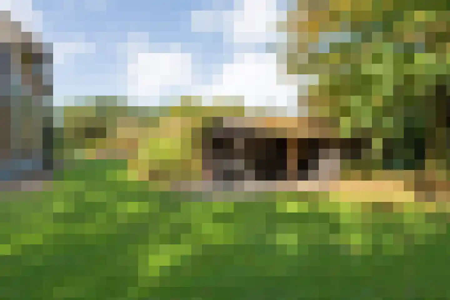 Beumersteeg 8 Holten thumbnail 96
