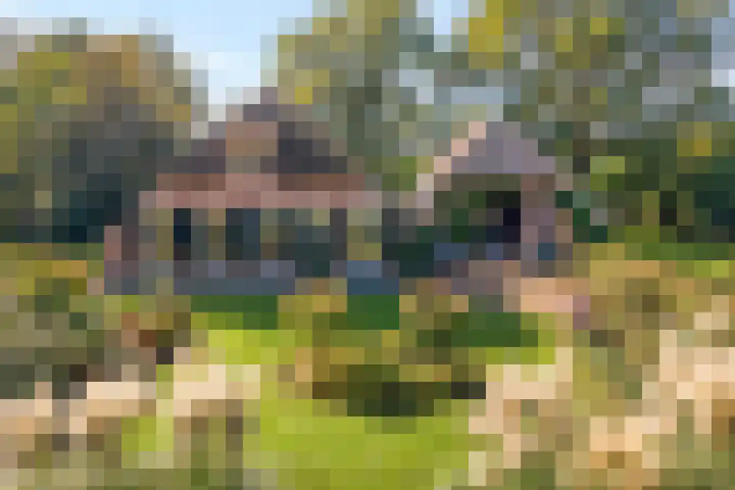 Beumersteeg 8 Holten thumbnail 99