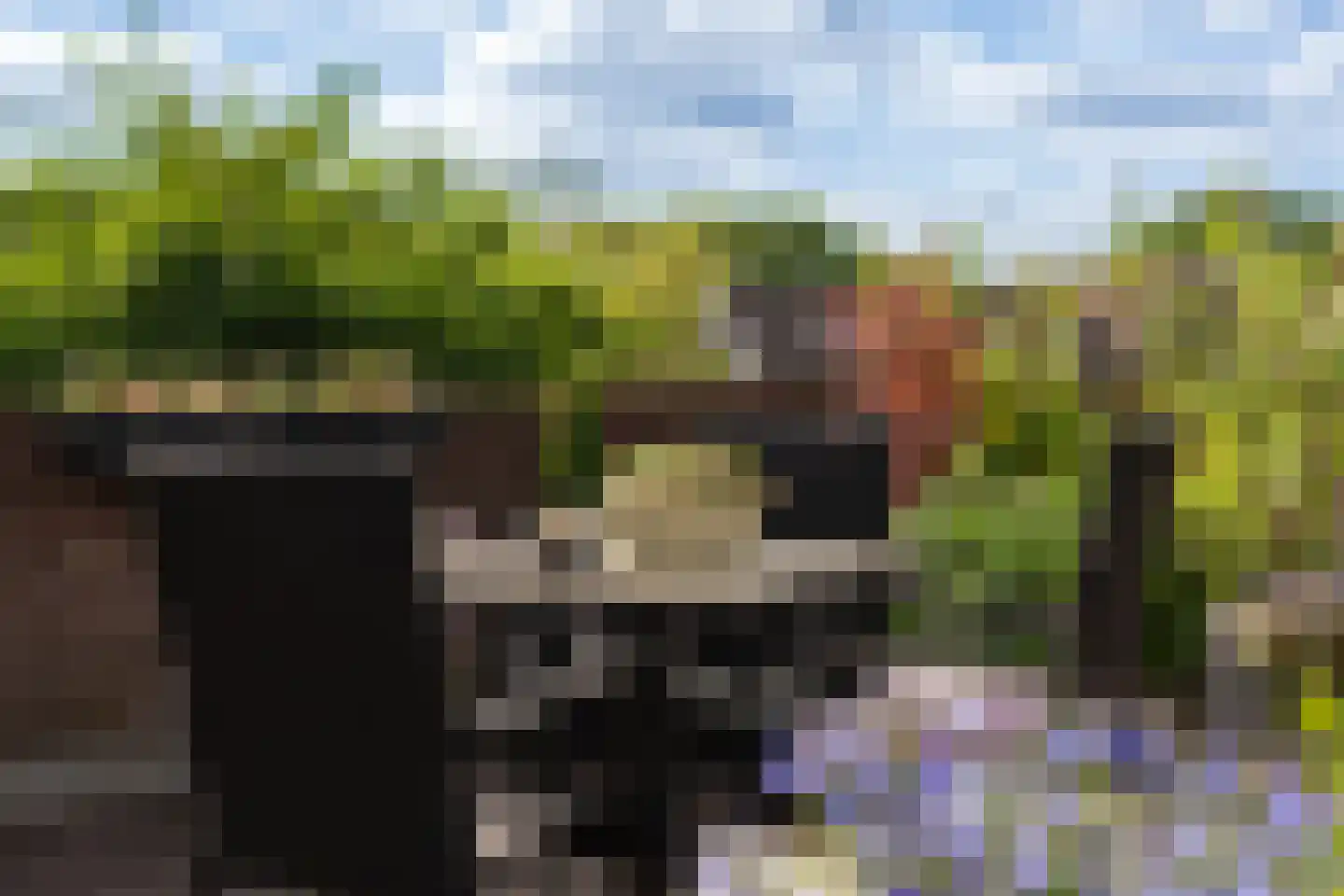 Beun 15 Enkhuizen thumbnail 32