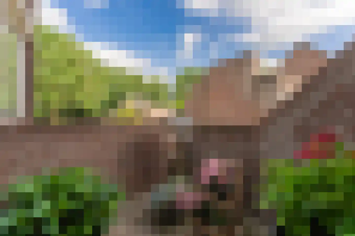 Beun 15 Enkhuizen thumbnail 8