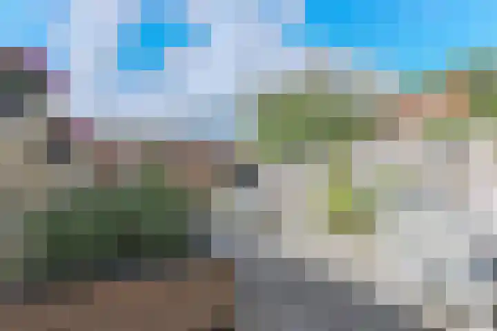 Beun 25 Enkhuizen thumbnail 22