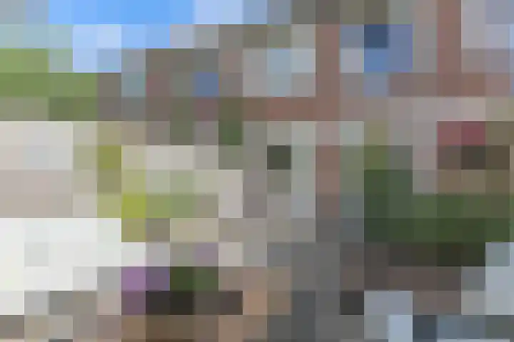 Beun 25 Enkhuizen thumbnail 23