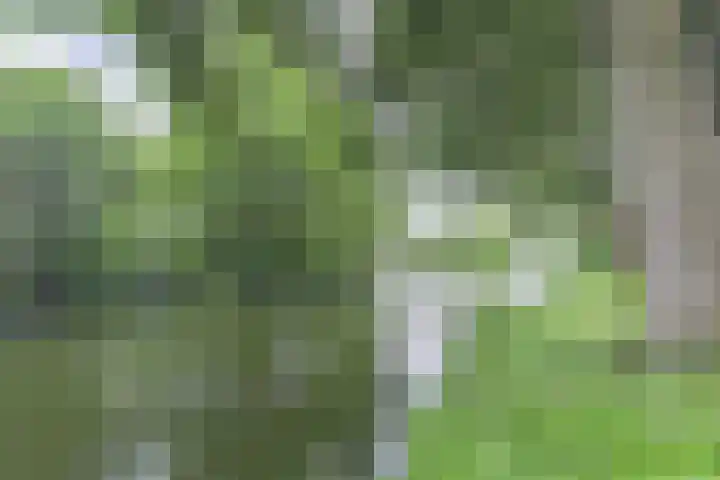 Beun 25 Enkhuizen thumbnail 35