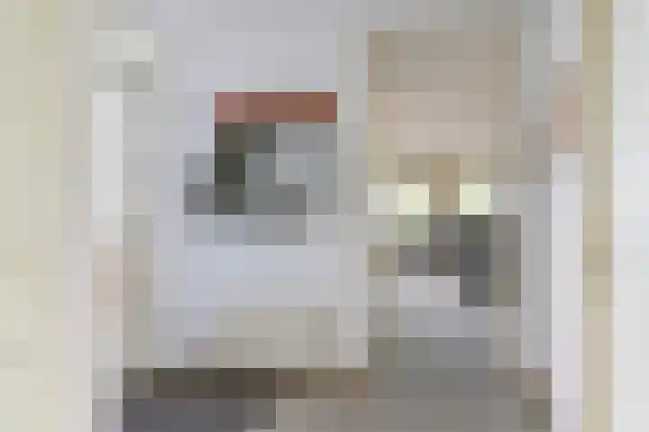 Beunheugte 34 Assen thumbnail 11