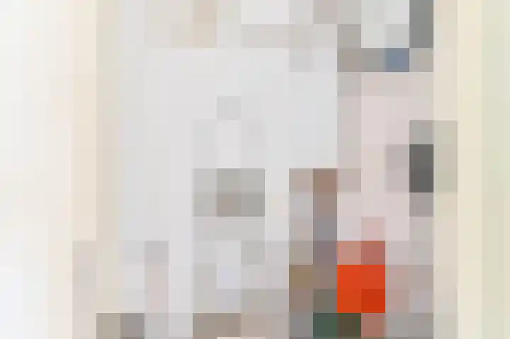 Beunheugte 34 Assen thumbnail 36