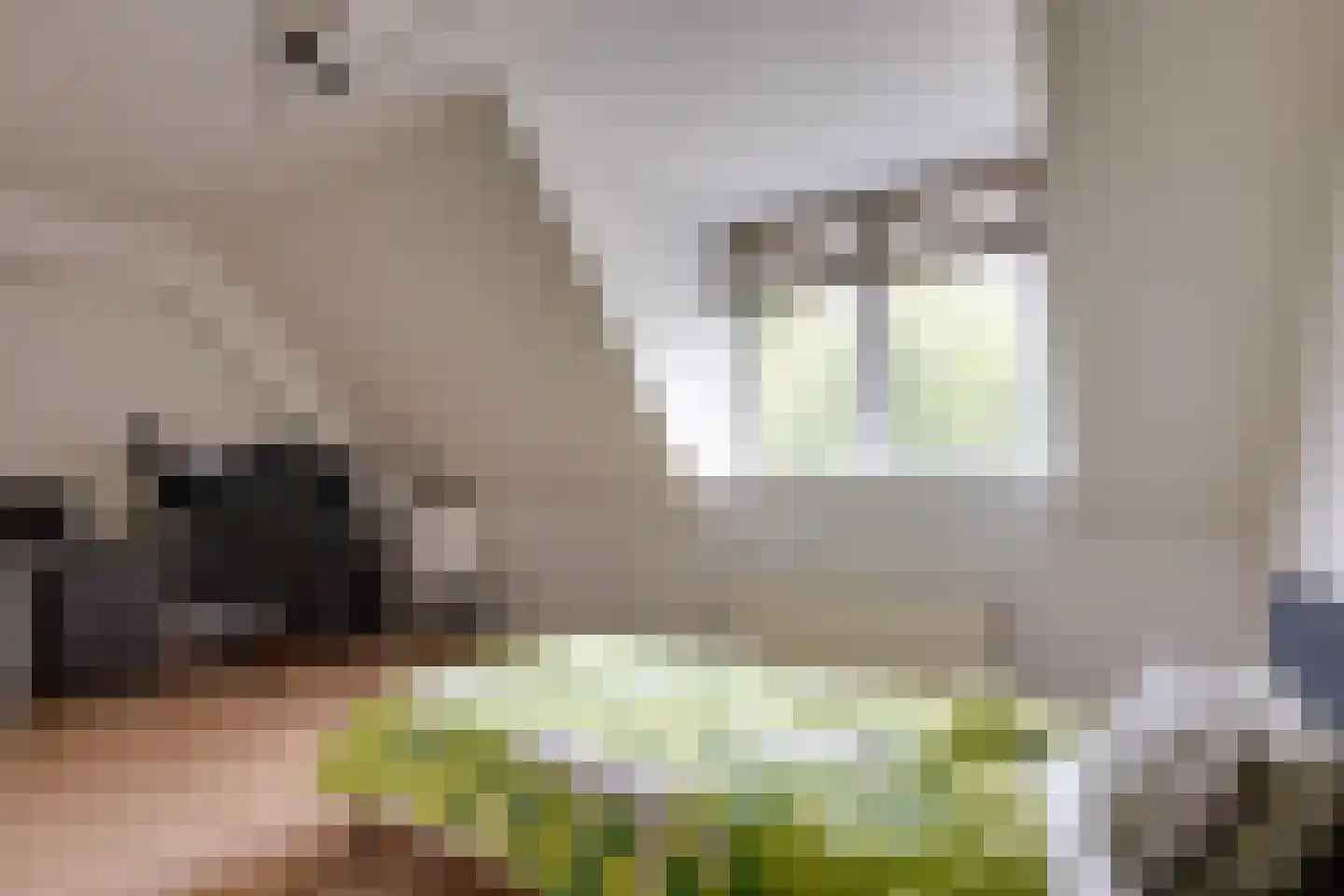Beunheugte 4 Assen thumbnail 16