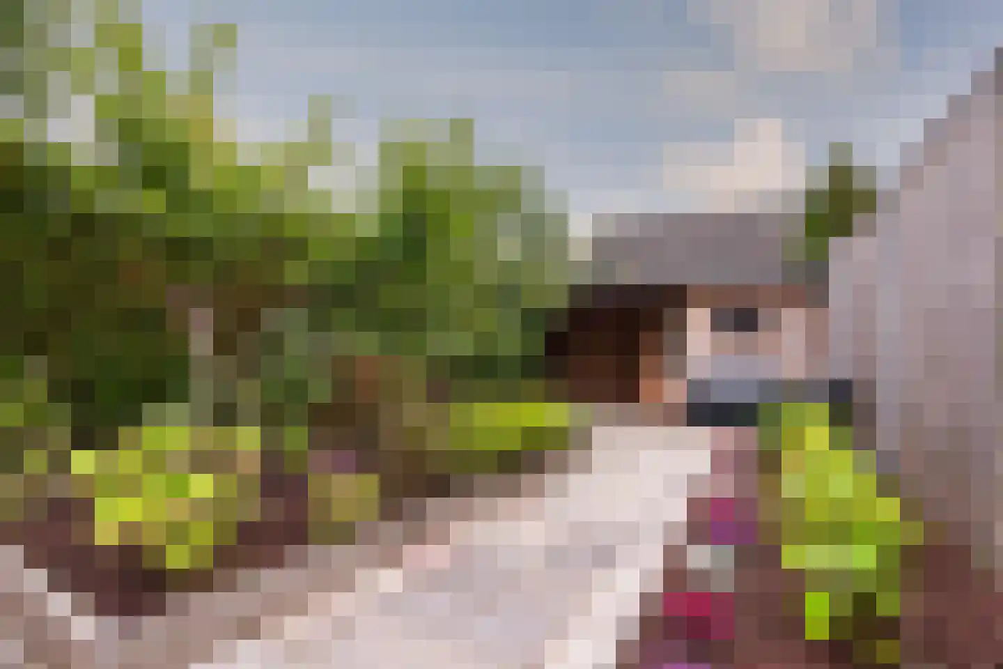 Beunheugte 4 Assen thumbnail 20