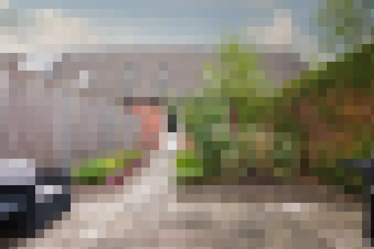 Beunheugte 4 Assen thumbnail 22