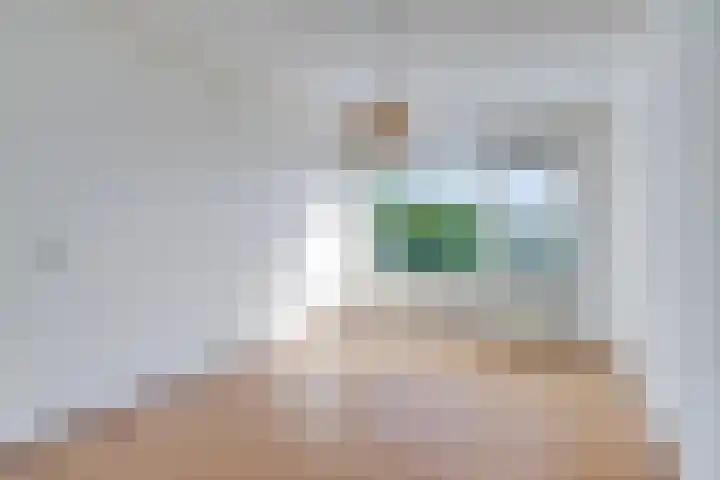 Beunheugte 44 Assen thumbnail 19