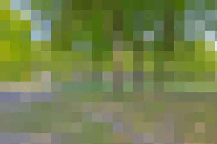 Beunheugte 44 Assen thumbnail 25