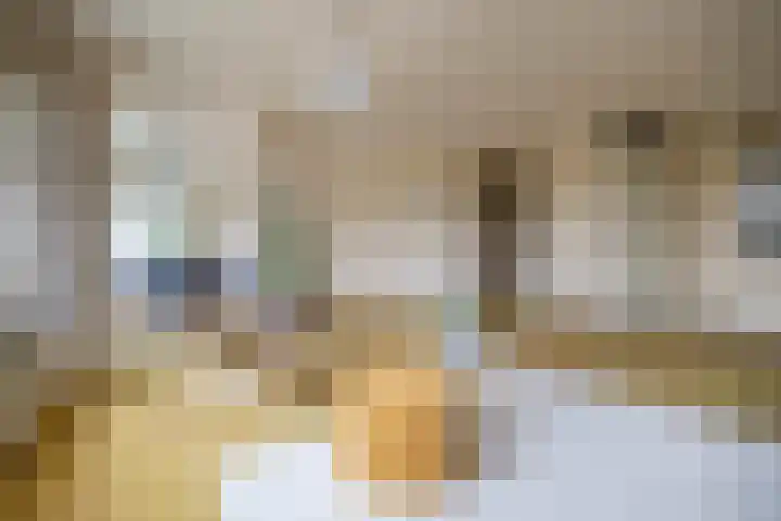 Beunheugte 54 Assen thumbnail 13
