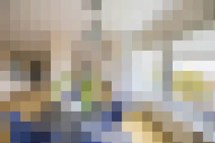 Beunheugte 54 Assen thumbnail 16