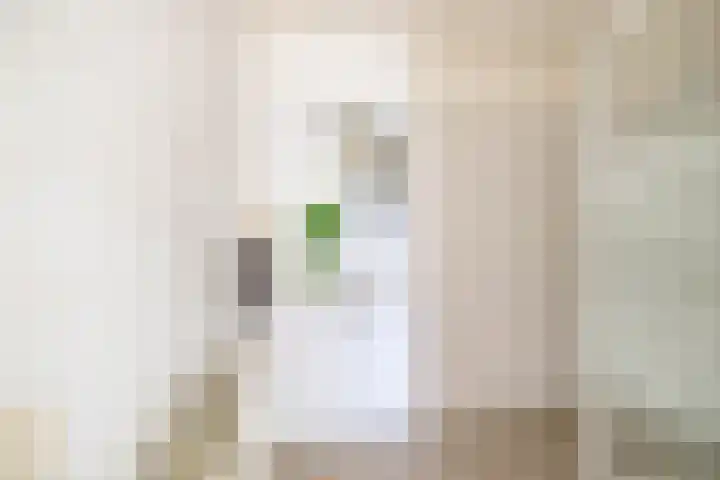 Beunheugte 54 Assen thumbnail 24