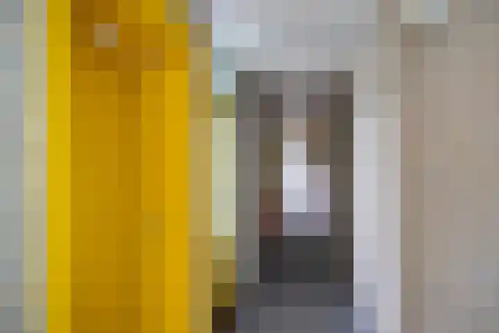 Beunheugte 54 Assen thumbnail 25