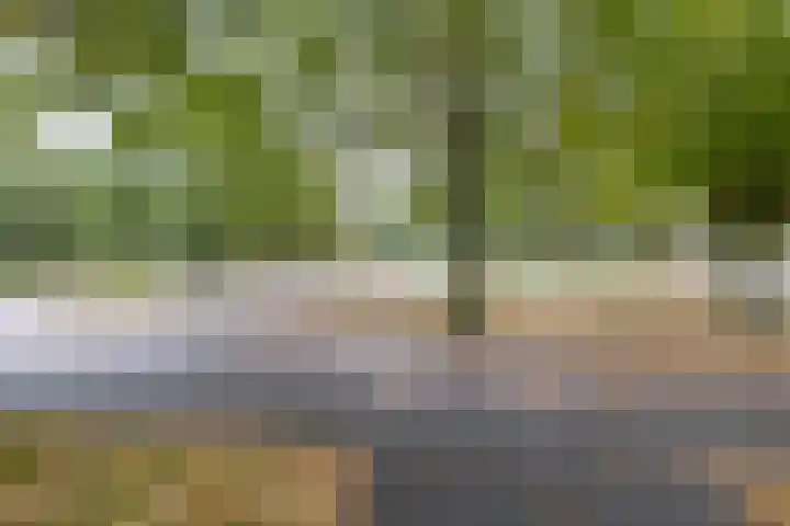 Beunheugte 54 Assen thumbnail 31