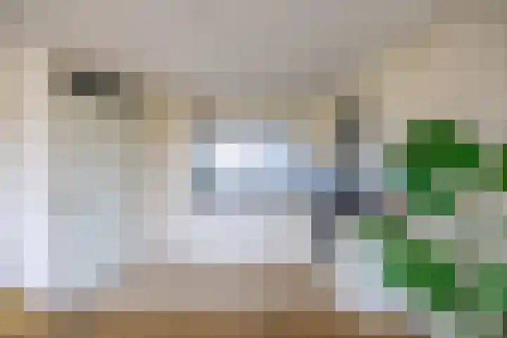 Beunheugte 54 Assen thumbnail 9