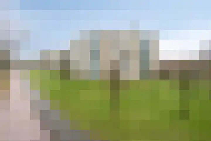 Beunheugte 56 Assen thumbnail 26
